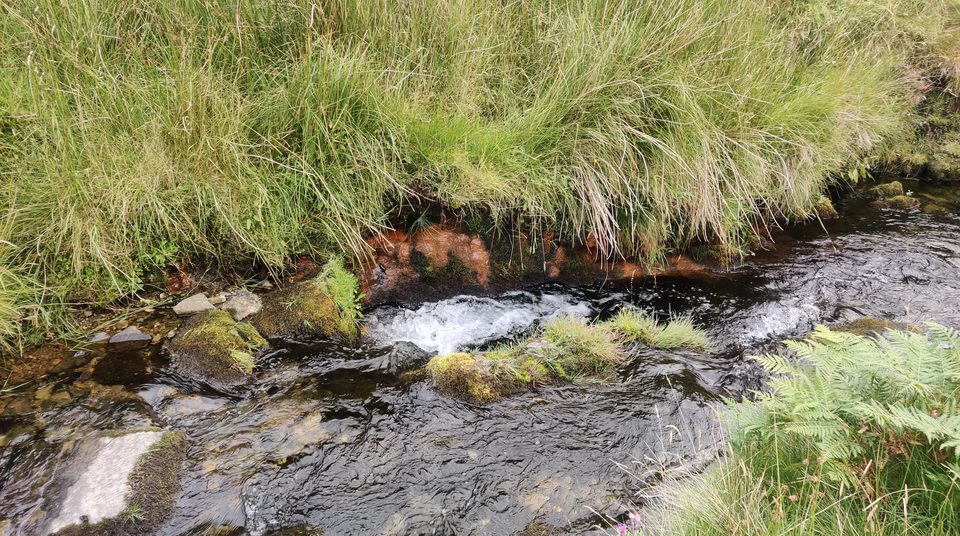 Water breaking over stones in a Lowther Hills burn — the slack pocket behind each boulder is where heavy material drops out.