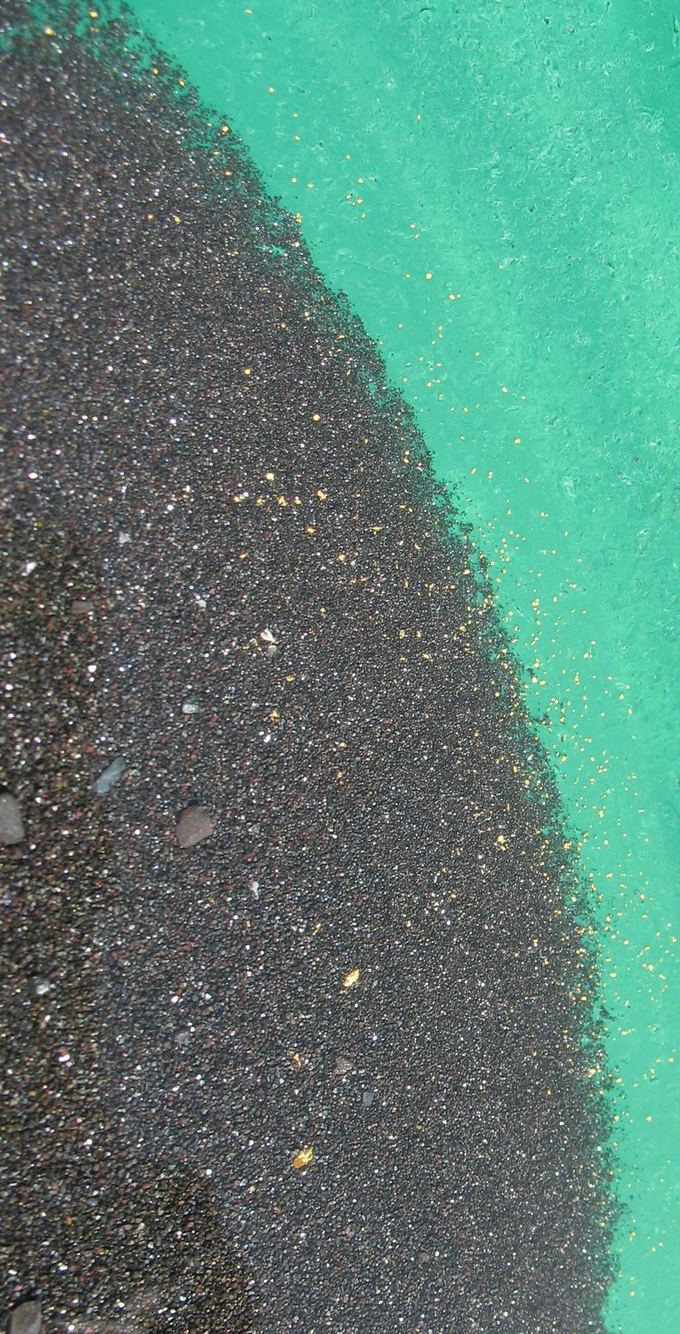 Macro of dark black-sand concentrate in a green pan with bright specks of fine gold visible among the magnetite