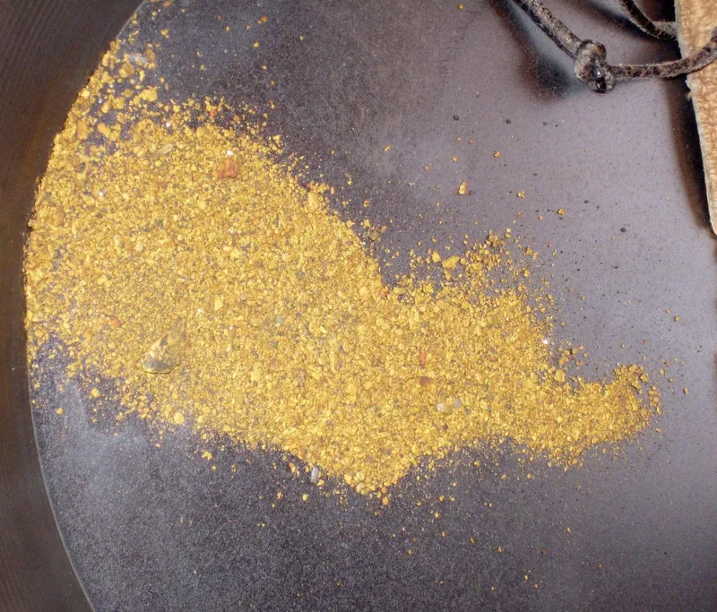 Placer gold in a prospecting pan