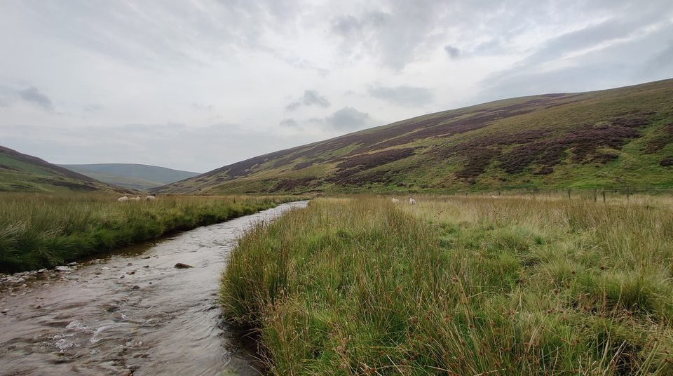 Gravel bar and riffle on a Scottish upland burn in the Lowther Hills — the same reading applies at Tyndrum and in Sutherland.
