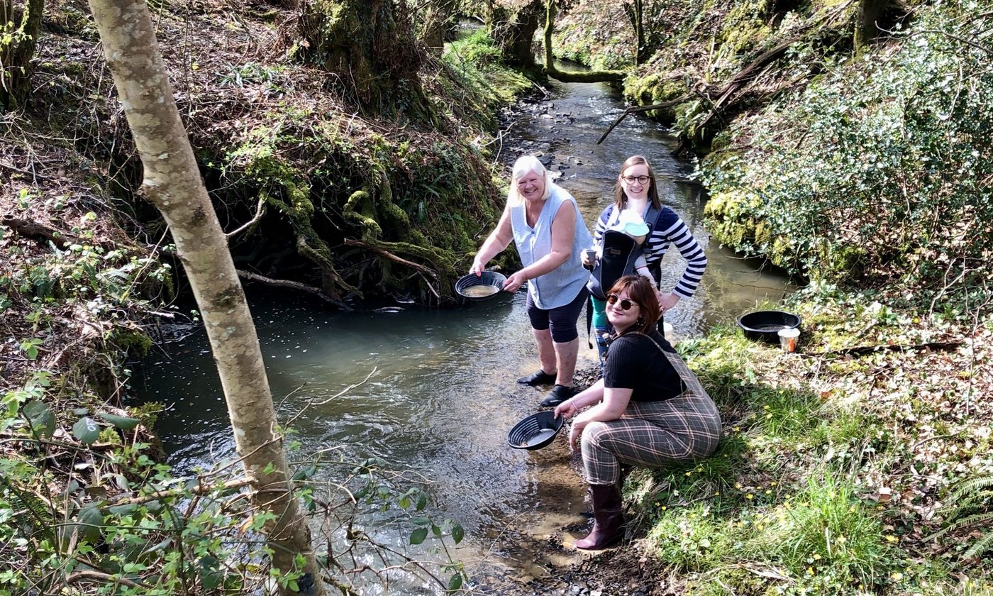 Three people gold panning in a wooded Devon stream at Holsworthy Gold Panning's guided experience near Holsworthy.