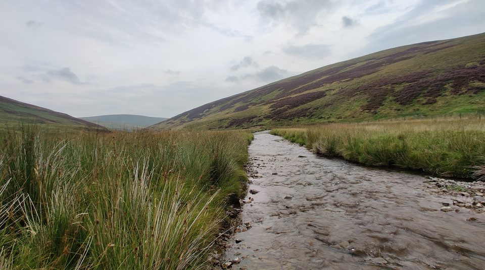 Inside bend of a Lowther Hills burn at low water — the point-bar deposition zone to look for on any Scottish gold stream.