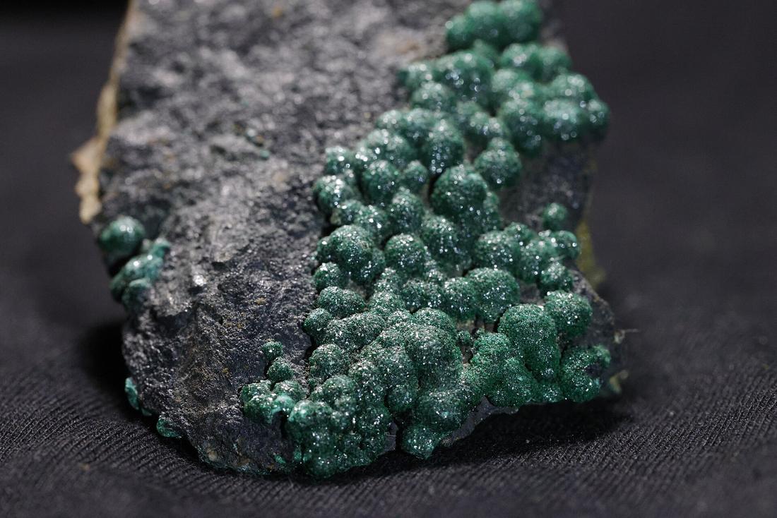 Vivid green banded, botryoidal malachite crust — a copper carbonate weathering product.