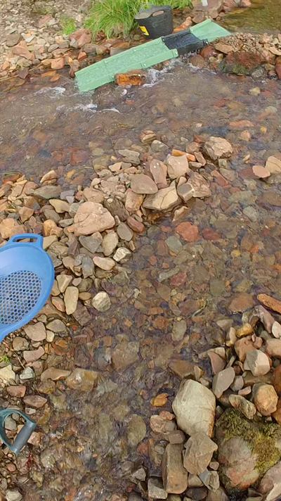 Gold pans on a Scottish stream bed