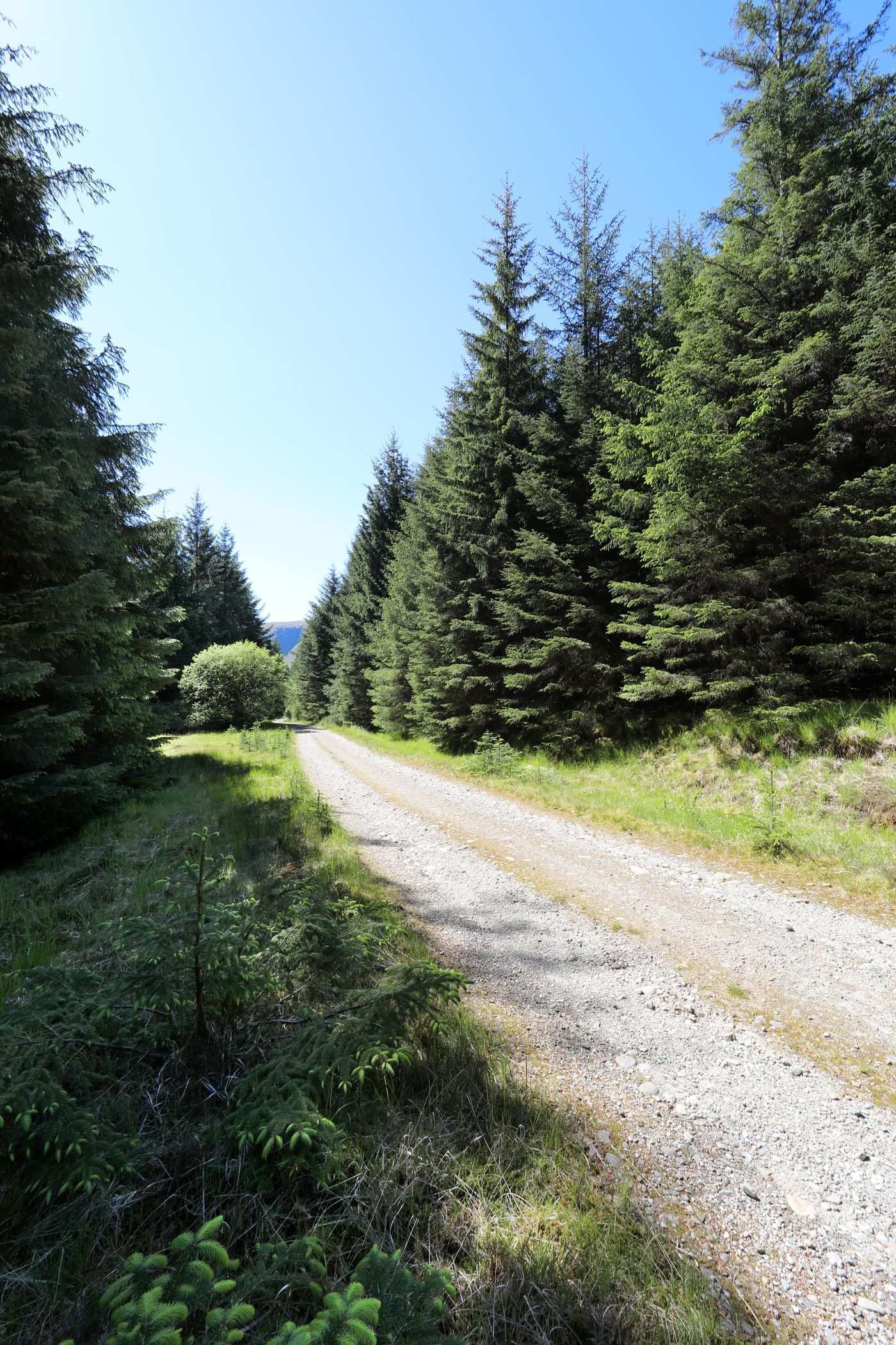 Cononish Glen near Tyndrum in the Scottish Highlands, site of the UK's only commercial gold mine.
