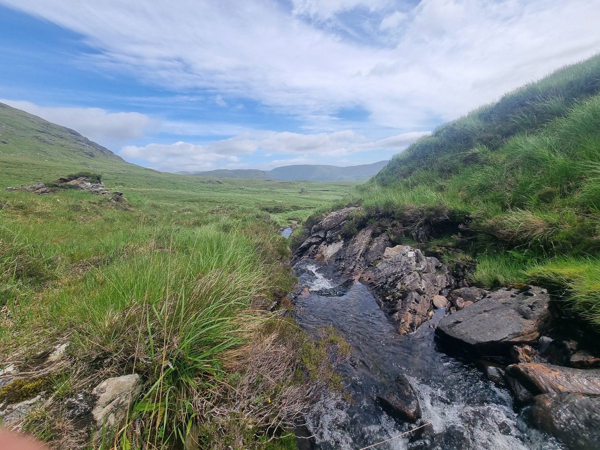 A small upland burn running over exposed bedrock through open moorland in Ireland.