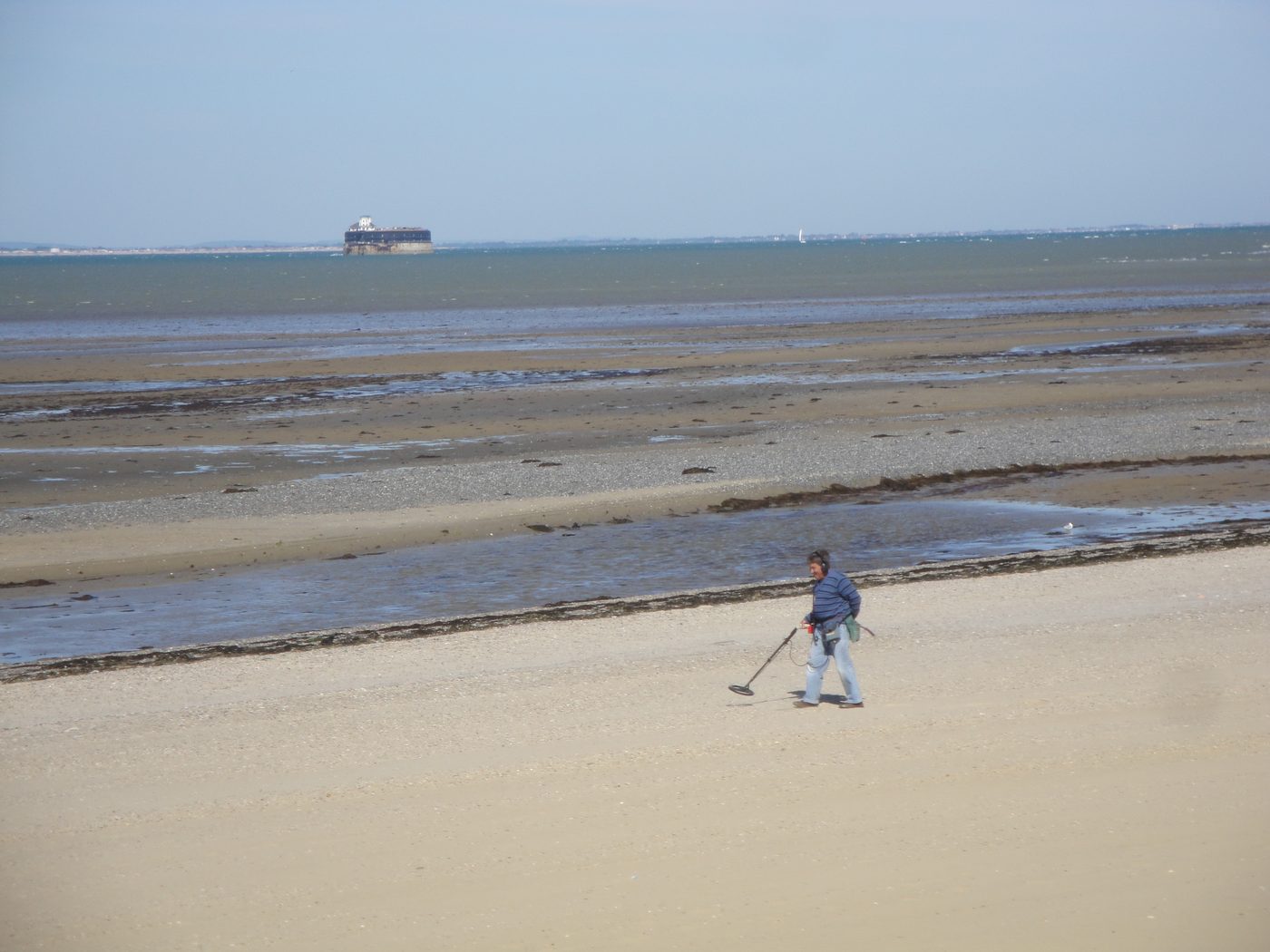 Metal detecting on a beach