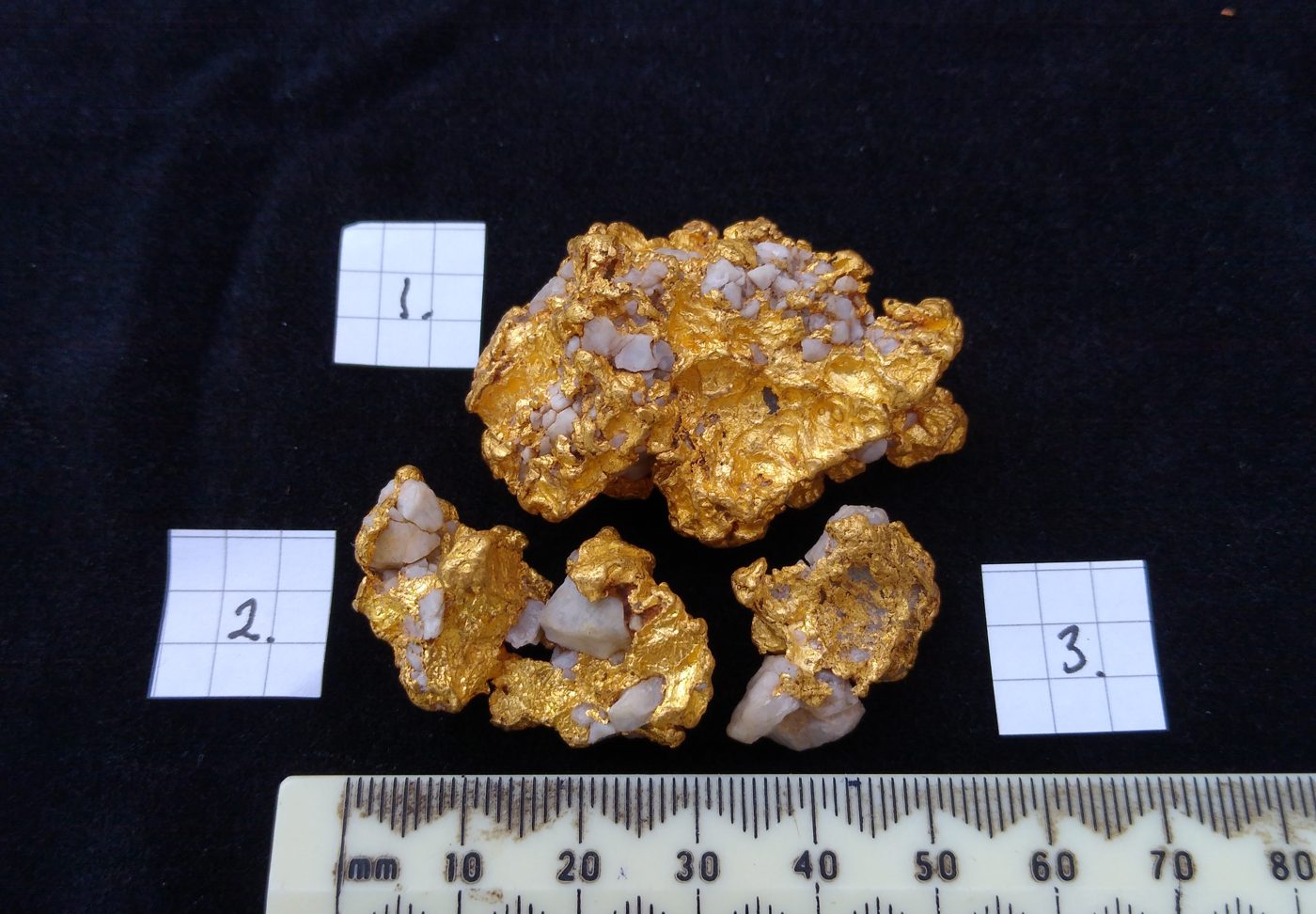 Three pieces of gold with white quartz, labelled 1, 2 and 3, laid on black cloth above a millimetre ruler. Piece 1, the largest, is about 45mm across.