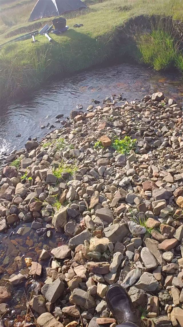 A gravel bar beside a burn