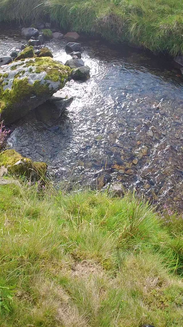 Mossy boulders in a clear burn